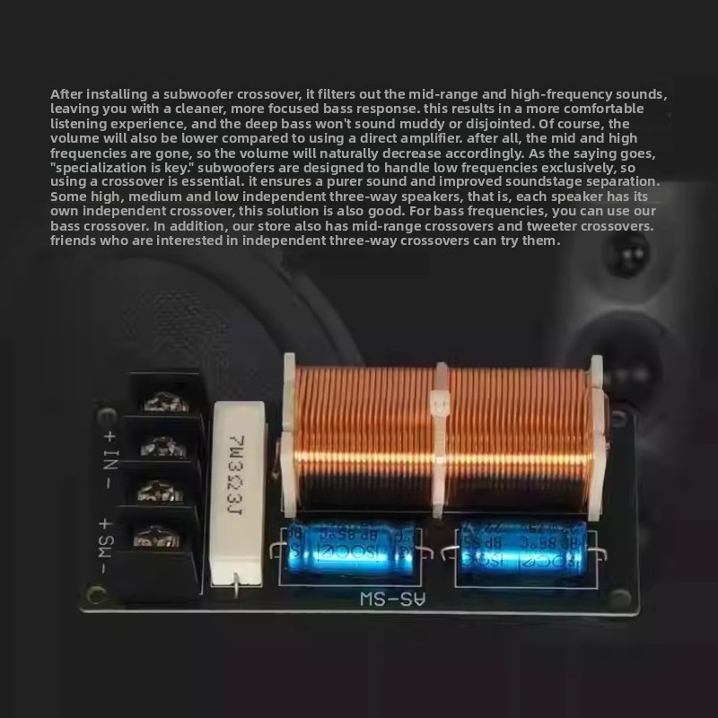 SOTAMIA High Power Passive Sub - Home Cinema Bluetooth ulasan dan harga